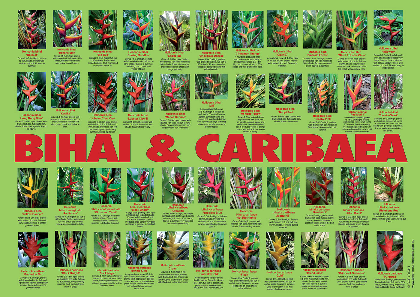 bihai-bihai-caribaeas-poster-web-1400px